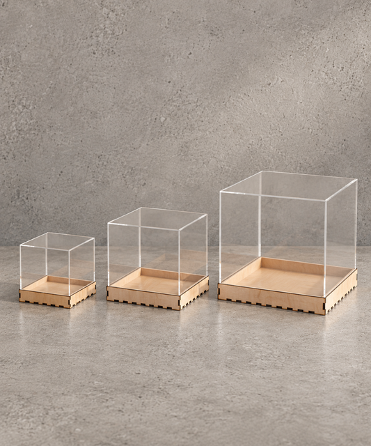 Display Dome Box