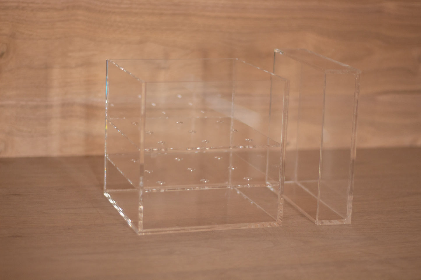 Perspex Rose Box